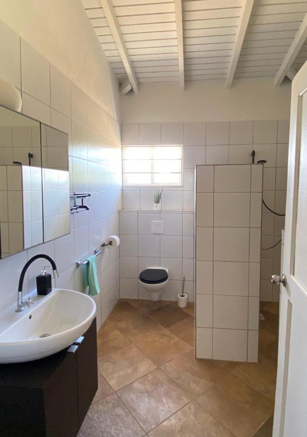 Pura Vida Aruba Appartement Palma نورد المظهر الخارجي الصورة