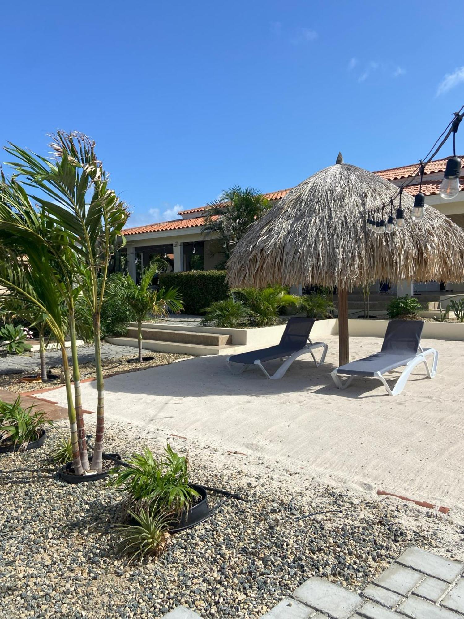 Pura Vida Aruba Appartement Palma نورد المظهر الخارجي الصورة