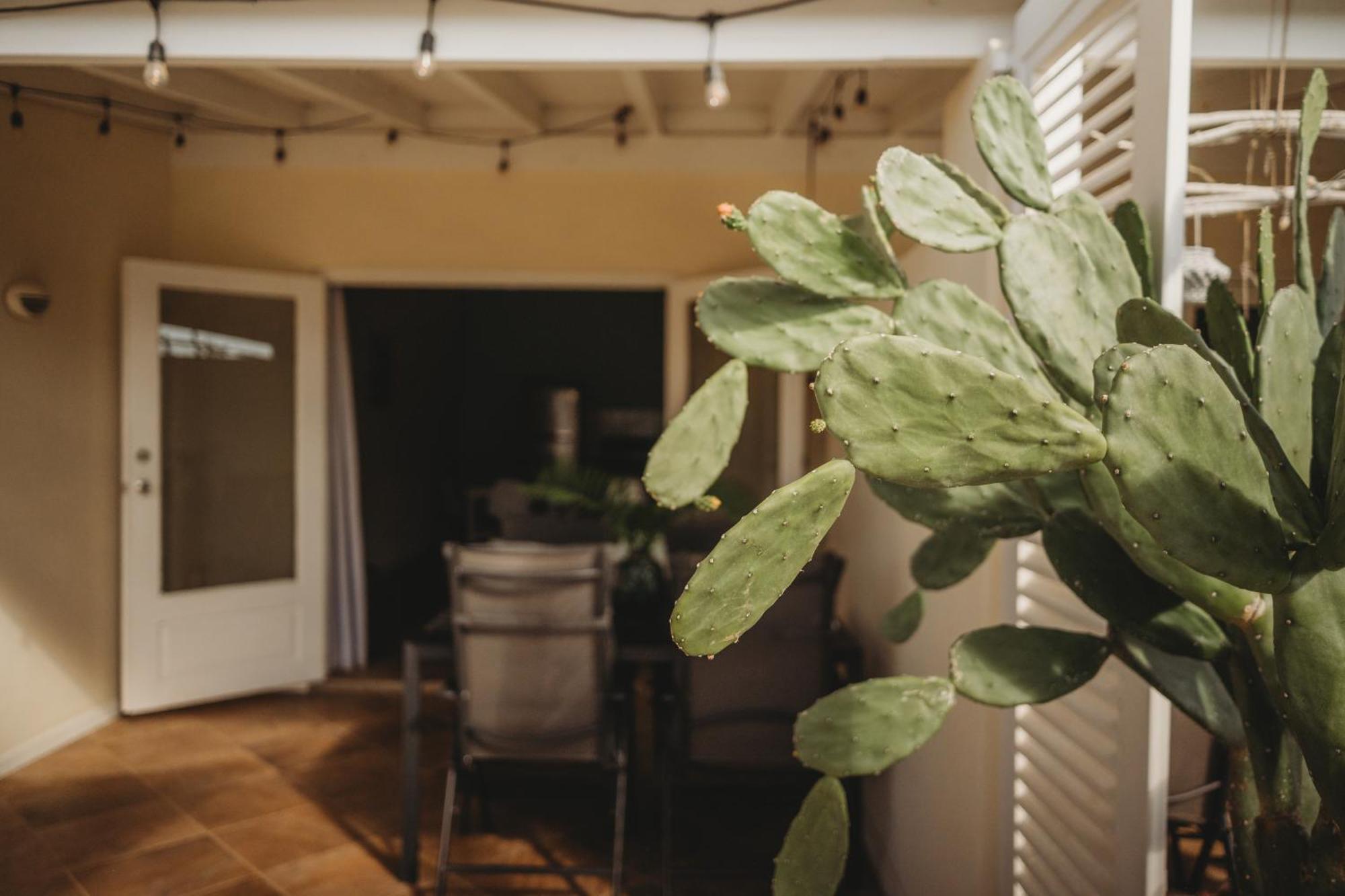 Pura Vida Aruba Appartement Palma نورد المظهر الخارجي الصورة